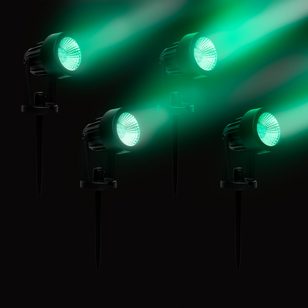 るぴ様専用 Light Studio ヴァイオレット