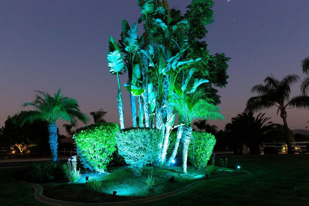 All Lighting – VivaColor by JayCee Products