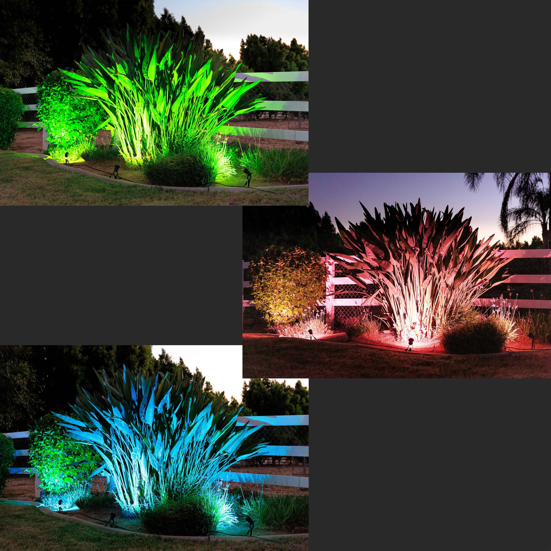ZUCKEO 5W RGB Landscape Lighting Color Changing Low Voltage Landscape Light - 4
